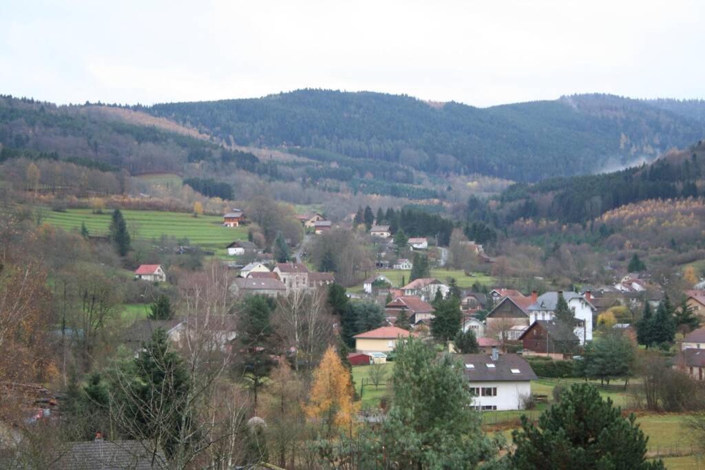 Le Chalet Du Bonheur , Individuel Avec Belle Vue Laveline Buitenkant foto